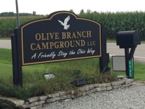 olive branch sign