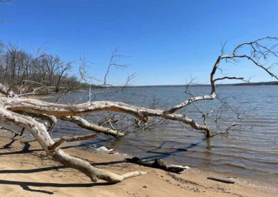 Beach Walk Gunston Cove