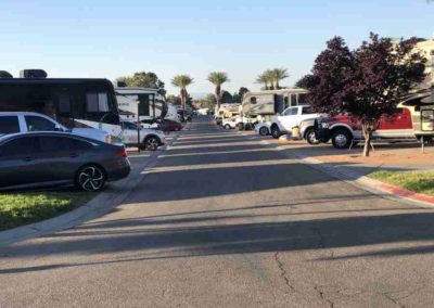 Deluxe Site Agave St