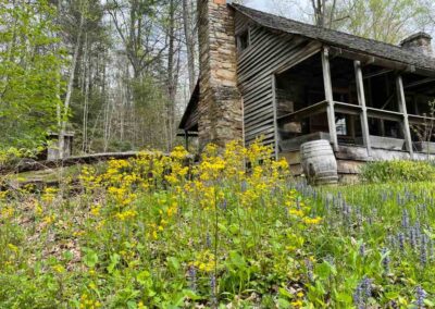 Rangers House Wildflowers