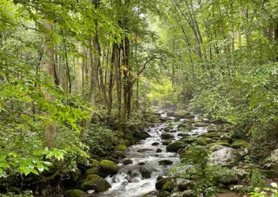 Roaring Fork Nature Trail
