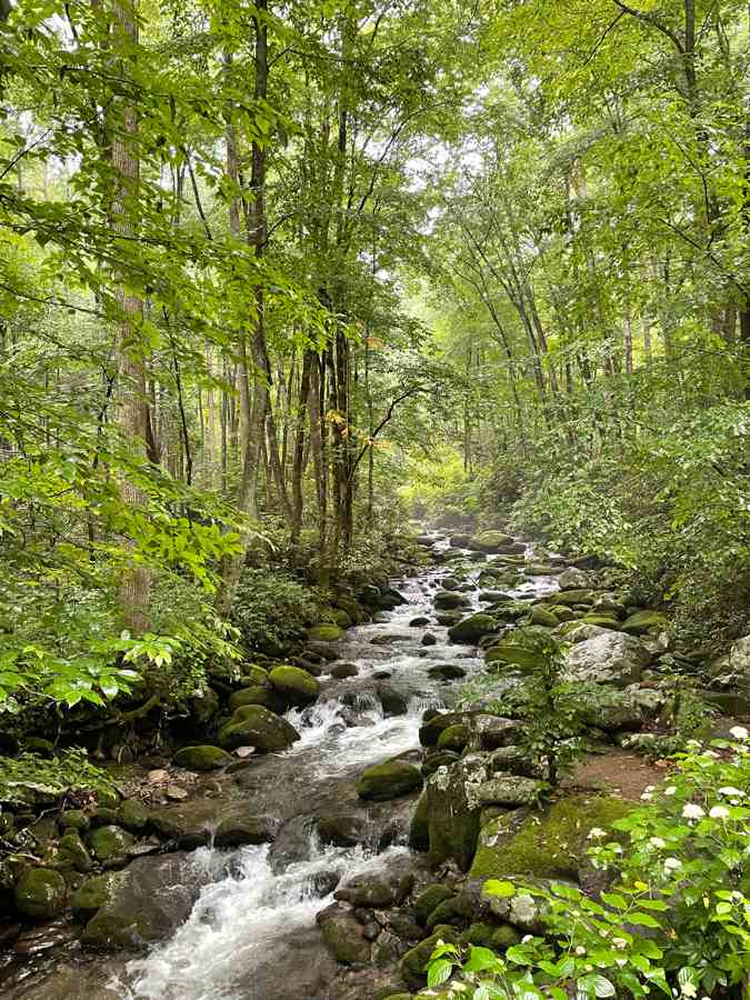 Roaring Fork Nature Trail