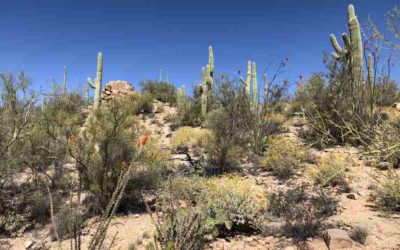 2019 Memorable Sites