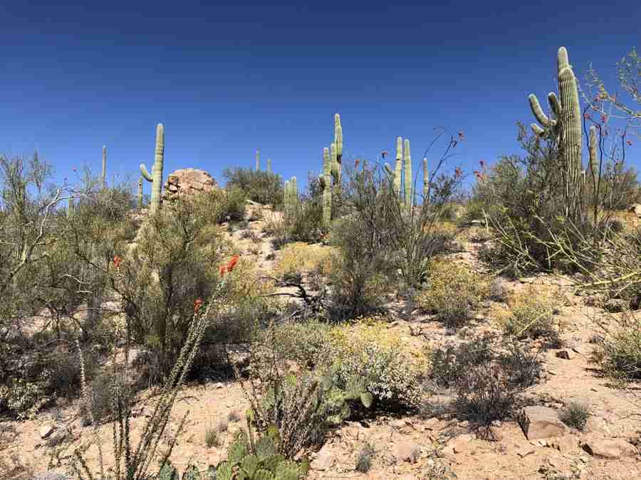 2019 Memorable Sites