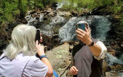 LTW 2021 Year In Review